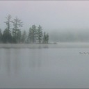 Adir.Dawn-Large