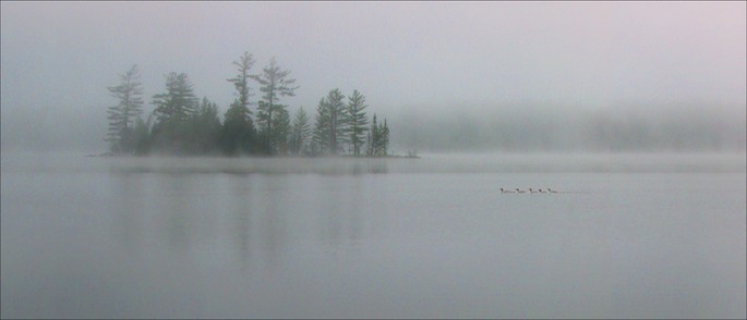 Adir.Dawn-Large