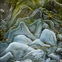 AncientUpwelling