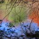 AutumnColors8