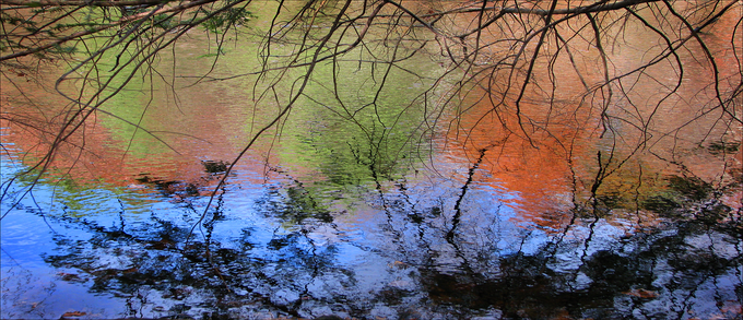 AutumnColors8