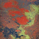 BeaverpondColors2.tif