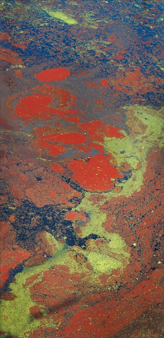 BeaverpondColors2.tif