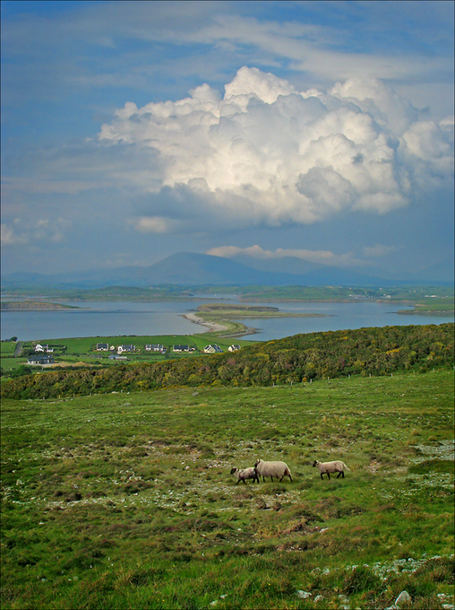 Eire9bW