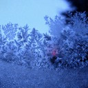 Frost11P.tif