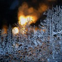 Frost15.tif