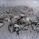 Frost2.tif