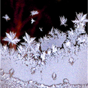Frost20Book