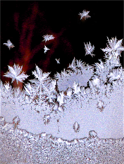 Frost20Book