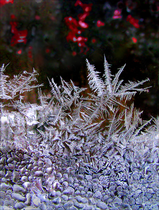 Frost21