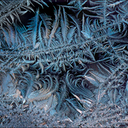 Frost29Book