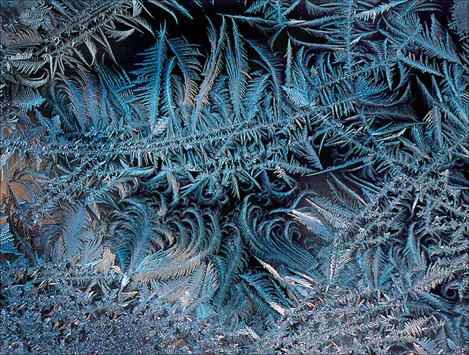 Frost29Book