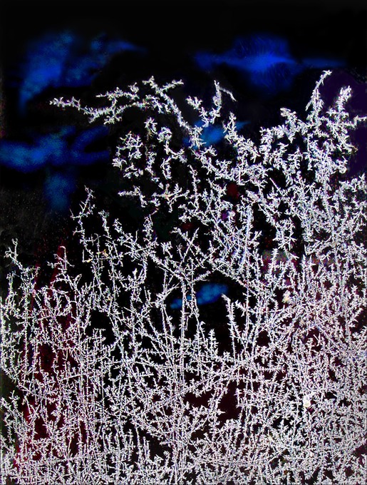 Frost35