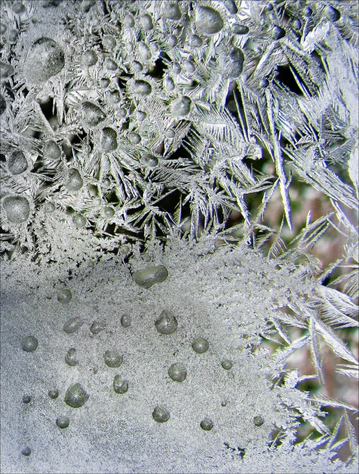 Frost45