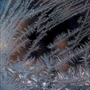 Frost8