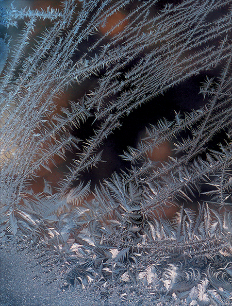 Frost8