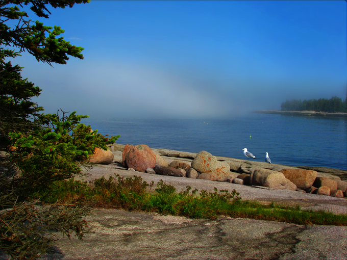 Incoming FogFinal