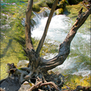 Plitvice2
