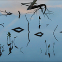 RememberingJoanMiro
