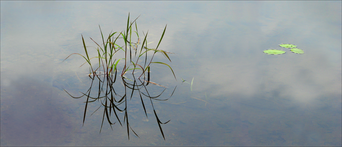 Silence