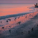 SunsetSnack.tif