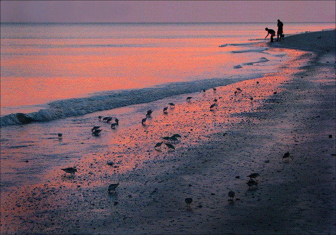 SunsetSnack.tif