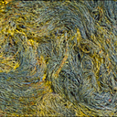 Swirls