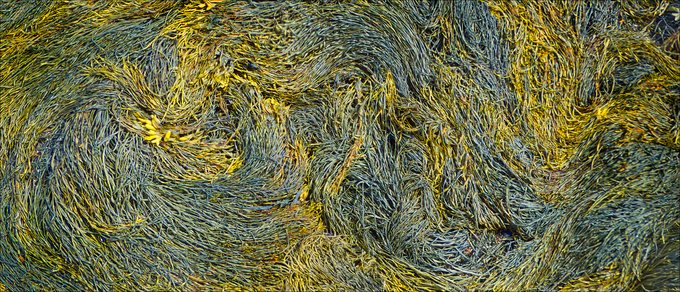 Swirls