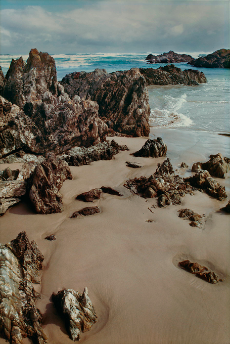 TasmaniaW