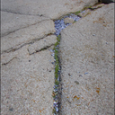 TectonicSymmetry