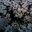 Windowfrost21.tif