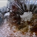 Windowfrost24.tif