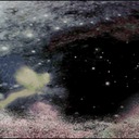 Windowfrost28.tif