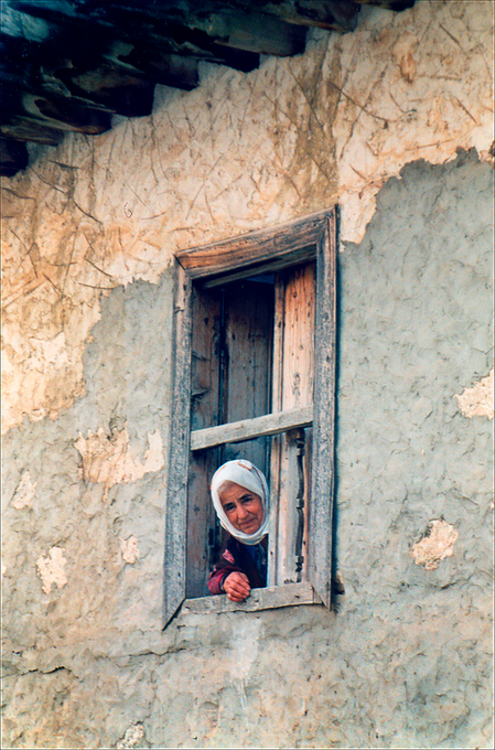 WindowWomanW