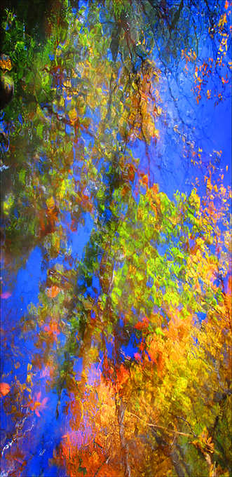 WoodlandReflection